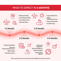 Chart titled 'What to Expect in 6 Months' with icons and text on a red and white background.
