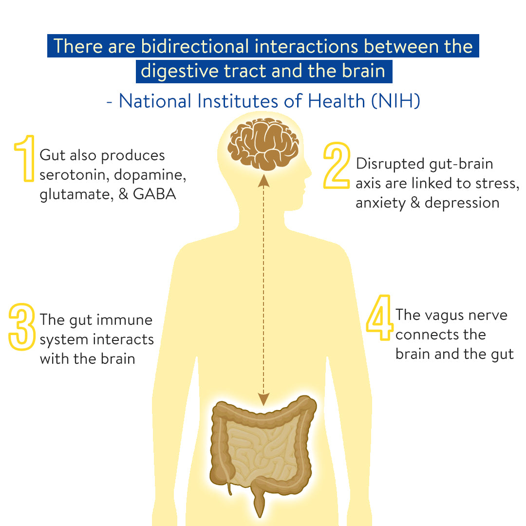 Image illustrating a National Institute of Health (NIH) study on the gut-brain axis and the role of probiotics.