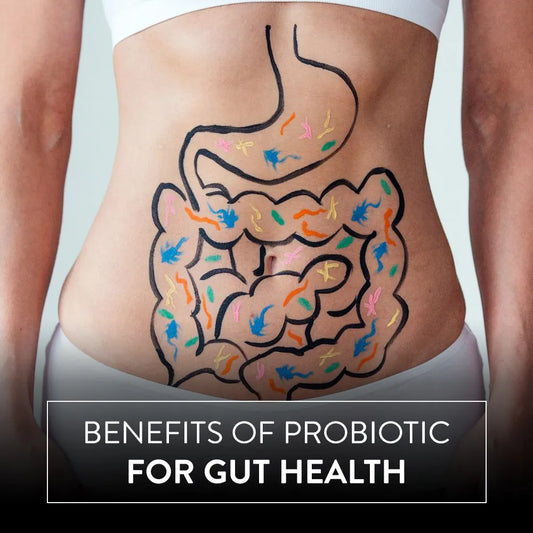 5 Major Benefits of Probiotic for Gut Health