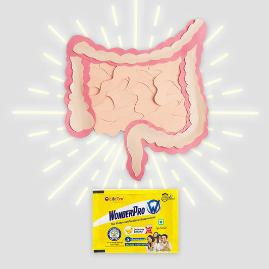 Outline illustration of a human digestive system with a Wonderpro Super Probiotic sachet placed at the center of the gut area, symbolizing targeted gut health support.