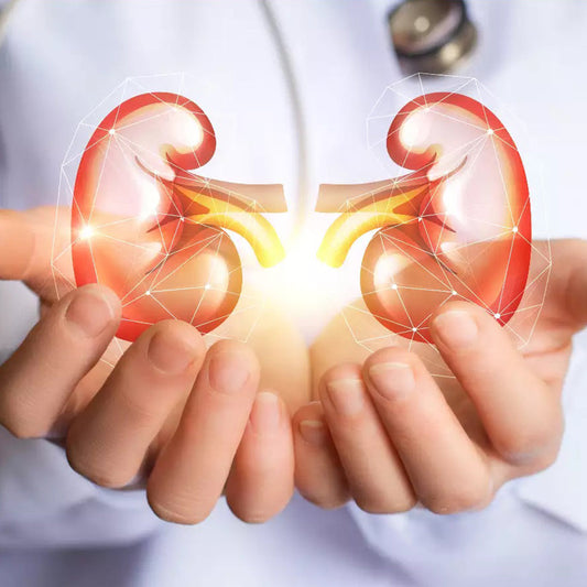 Learn Natural Ways to Kidney Cleansing at Home