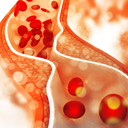 All about Cholesterol: Whats Good, Whats Bad?