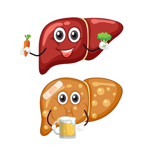 Best Foods to Support a Healthy Liver: What to Eat for Fatty Liver