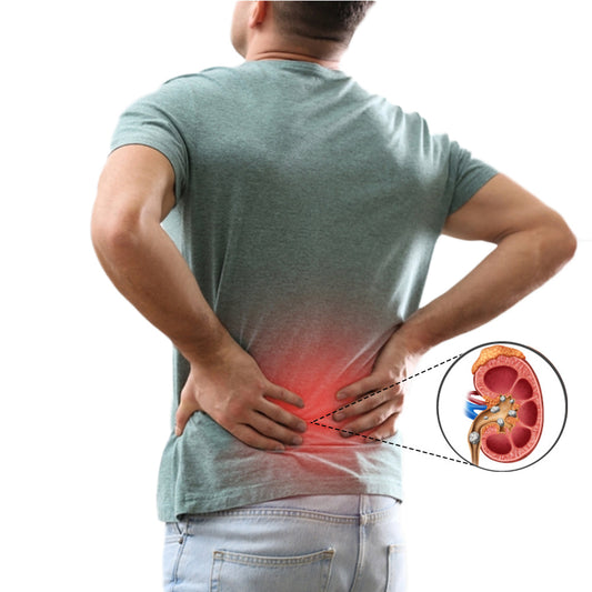 Protect Your Kidneys: Daily Habits and Foods for Better Kidney Health