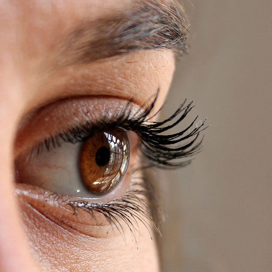 Easy Tricks and Tips For Beautiful and Nourished Eyelashes