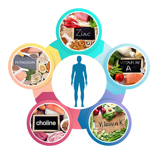 5 Under-consumed Micronutrients to Add in Your Diet Today