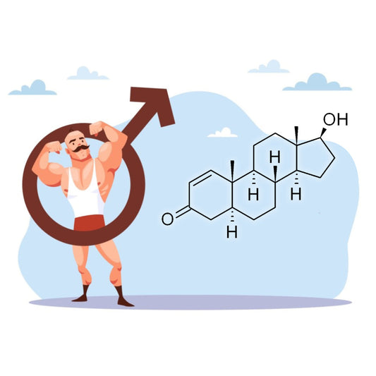 Testosterone & Vitality: 8 Ways to Support Healthy Levels Naturally