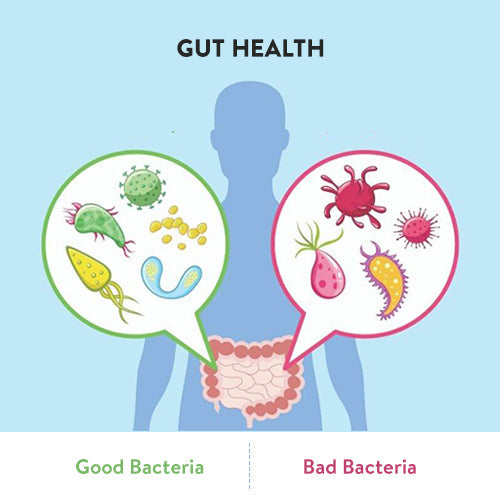 How to Starve Bad Gut Bacteria