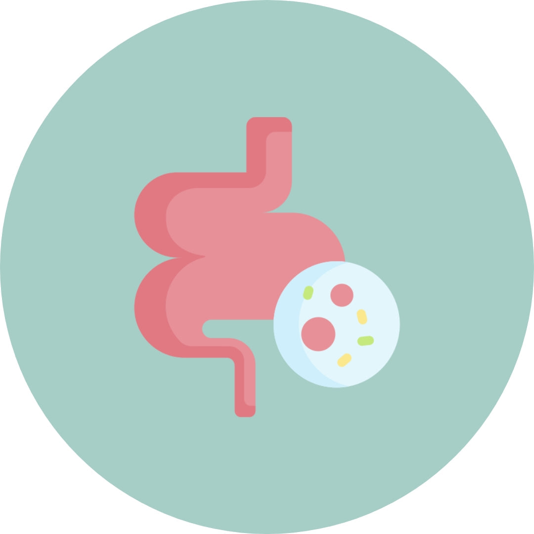 Gut Health
