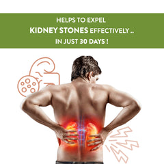Stonex Capsules - Support Kidney Detox, Kidney Stone Dissolution, Urinary Tract Infection (UTI) - Herbal Supplement