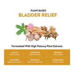 Prostowin Capsules - Supports Bladder Relief, Urinary Flow, Prostate Enlargement, Inflammation, Burning