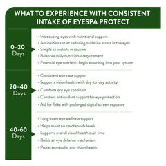 EyeSpa Protect | Advanced Eye Health Supplement with Lutein, Zeaxanthin, & Vitamins A, C, E