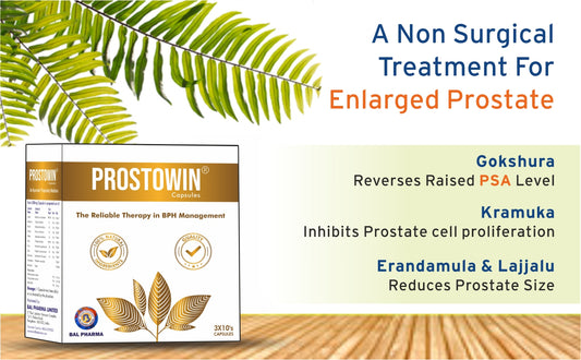 Prostowin Capsules - Supports Bladder Relief, Urinary Flow, Prostate Enlargement, Inflammation, Burning