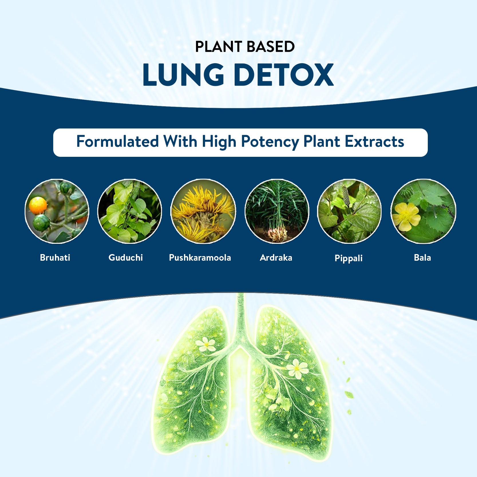 Advertisement for plant-based lung detox with images of plants and a stylized illustration of lungs on a blue background.